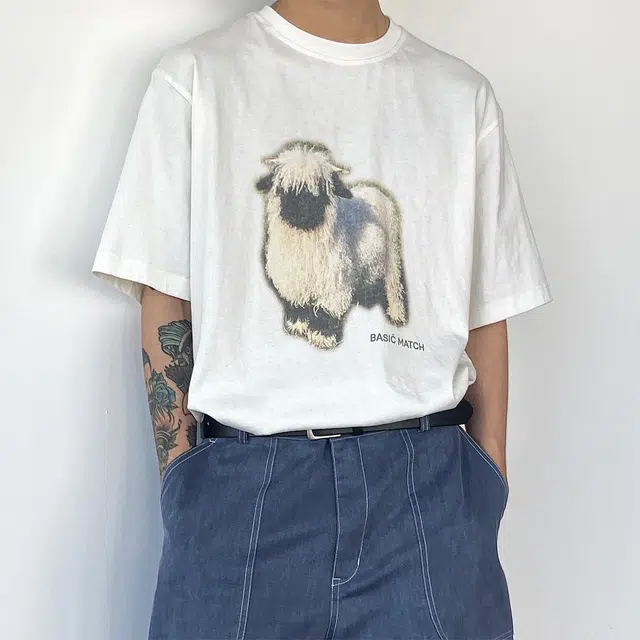 BASIC MATCH T