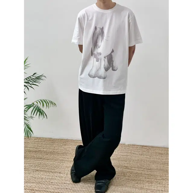 BASIC MATCH T