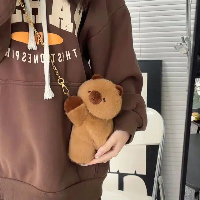 20cm