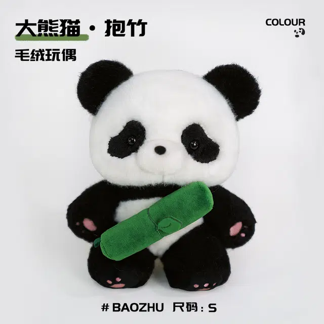20cm