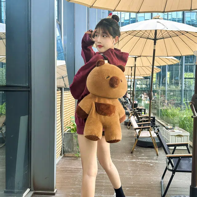 50cm35cm