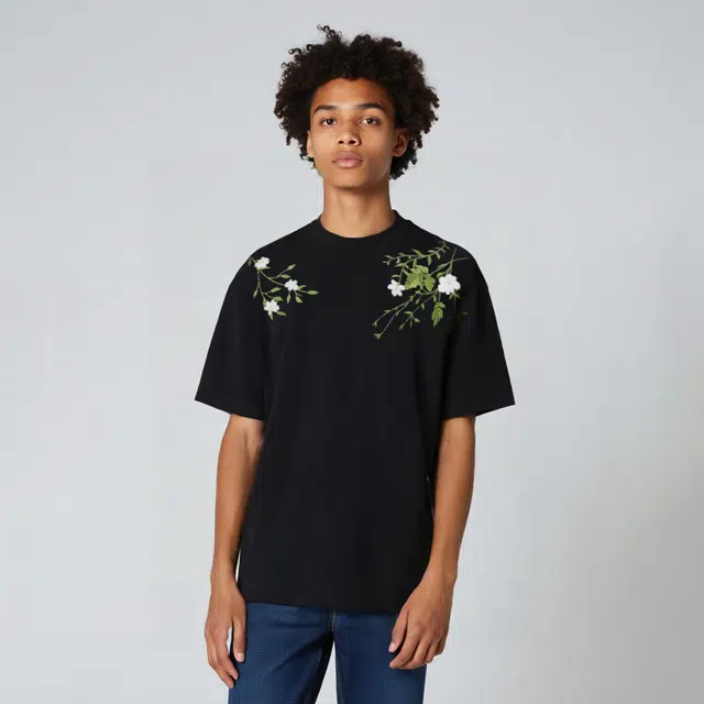 FOASIS logo T
