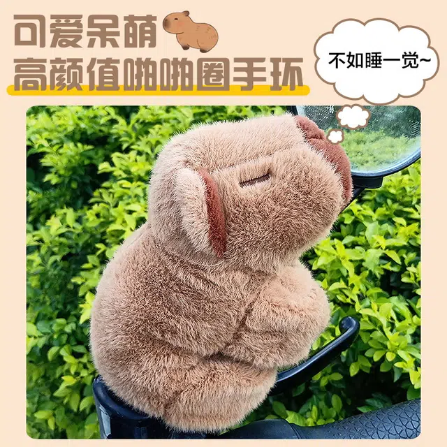 24cm