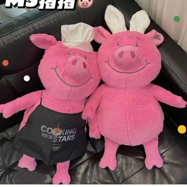 40cm50cm60cm