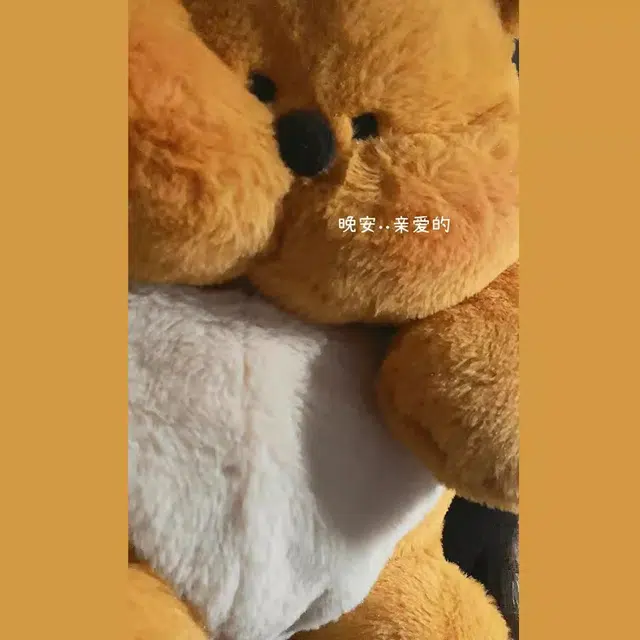 BA 21cm29cm40cm