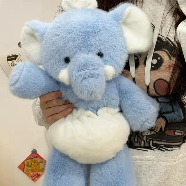 45cm60cm