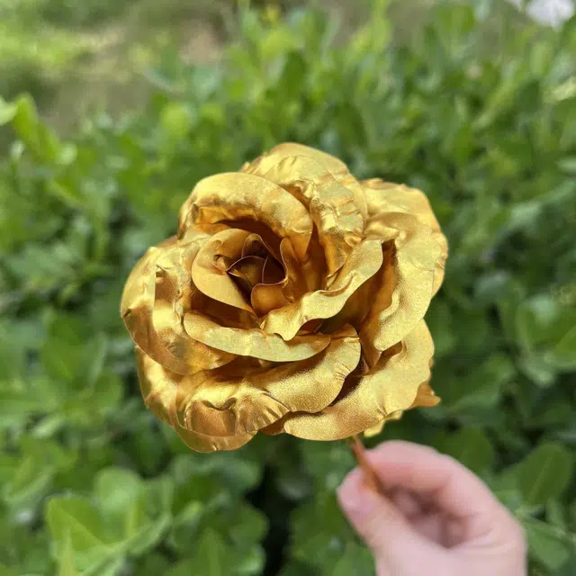 DIY 25cm