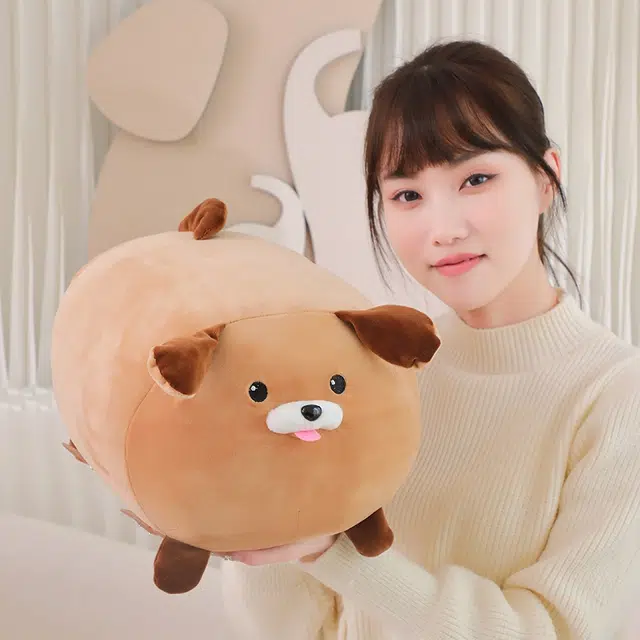 19cm22cm