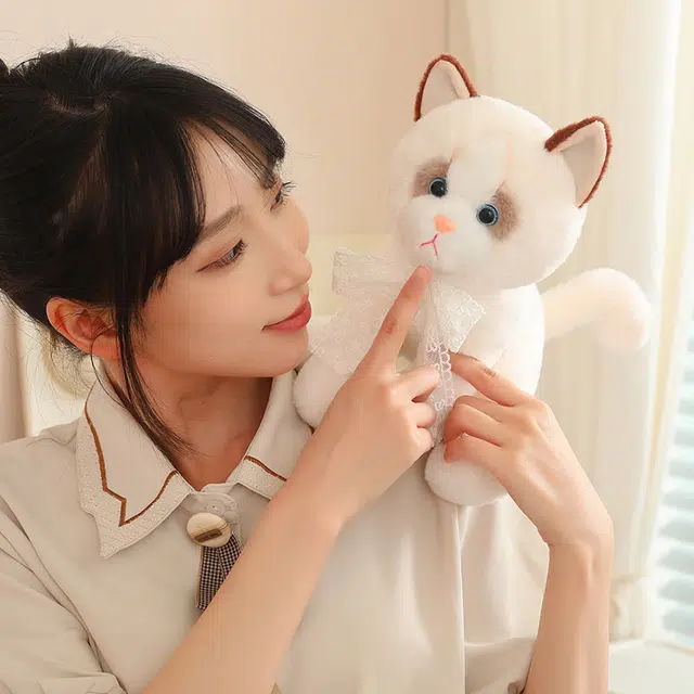 25cm33cm