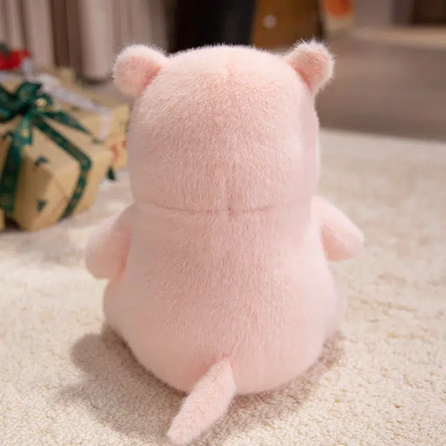 23cm25cm