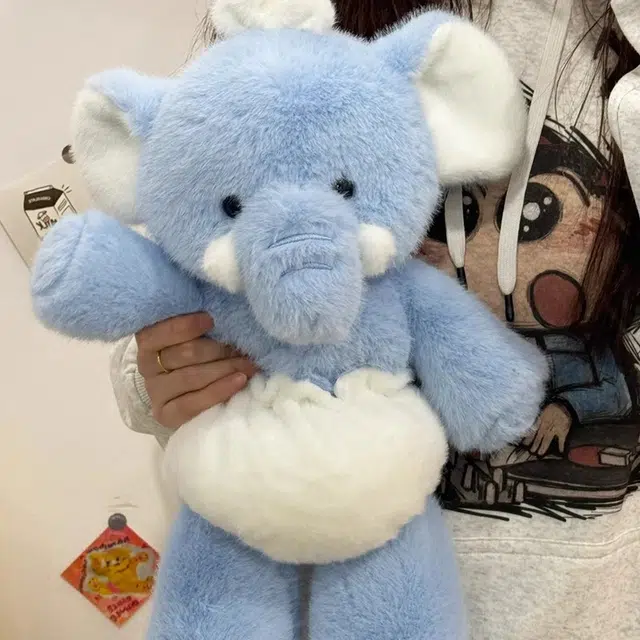 45cm60cm