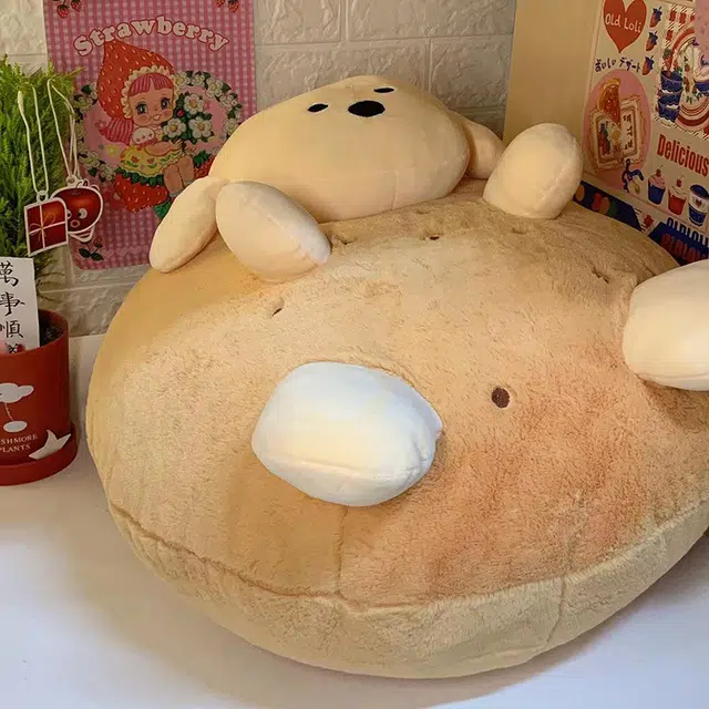 20cm50cm
