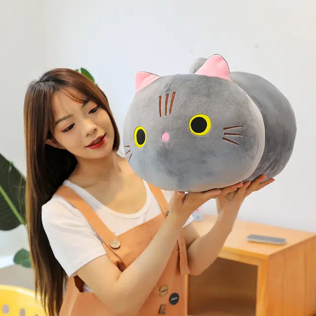 46cm23cm30cm