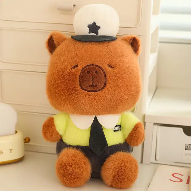 25cm