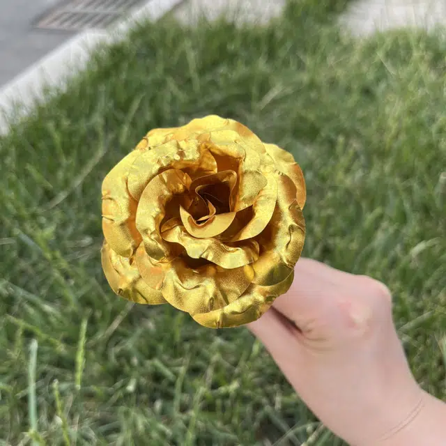 DIY 25cm
