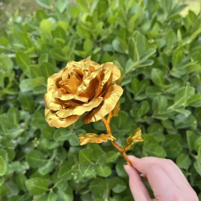 DIY 25cm