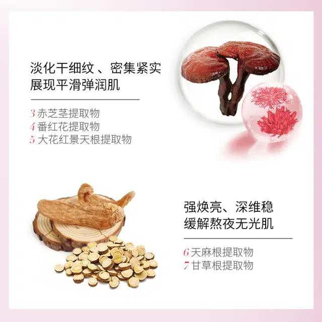 美肤宝体验装 驻颜紧致精品旅行套 提拉紧致抗皱淡纹补水保湿