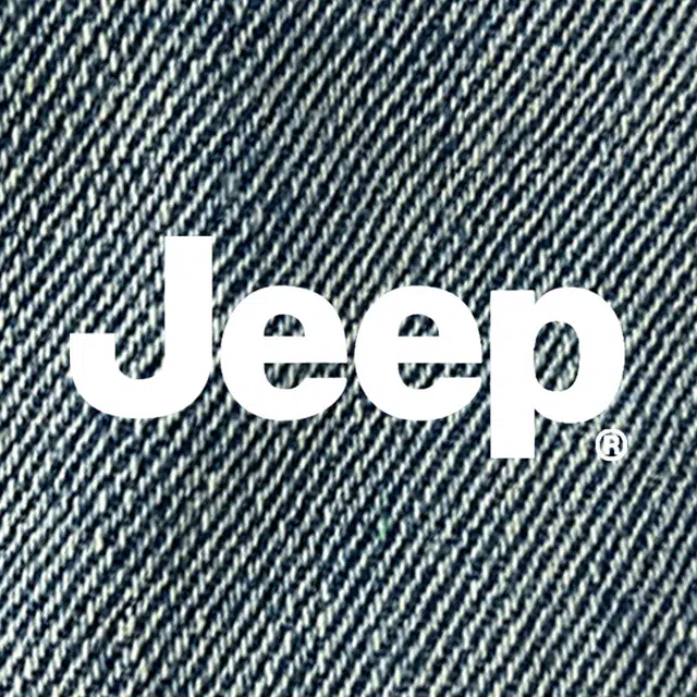 Jeep ins