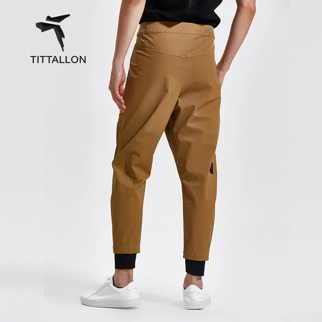 Tittallon PHYLEX