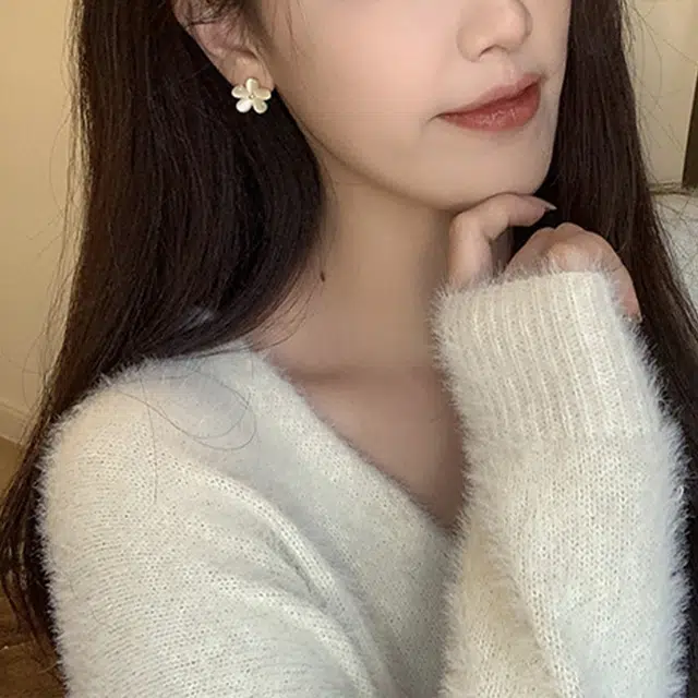 ZOKS ins