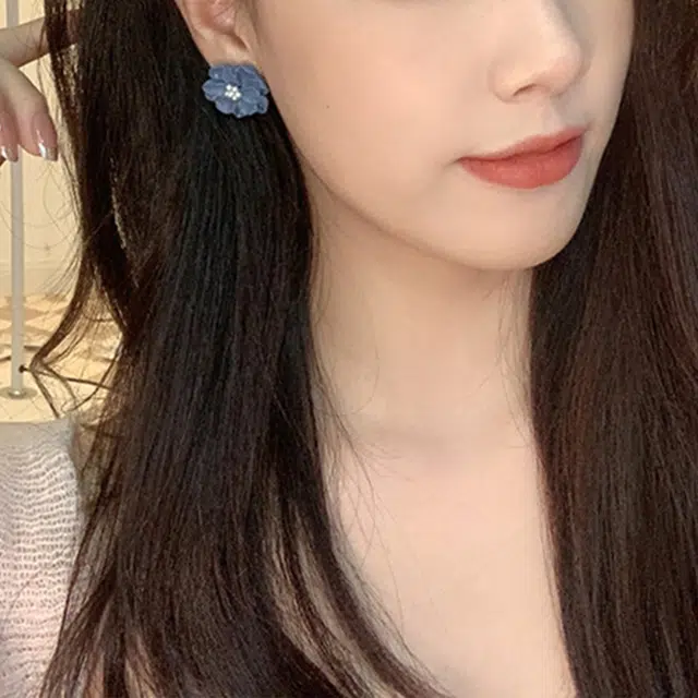 ZOKS ins