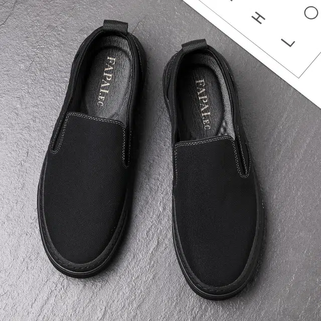 FAPAI