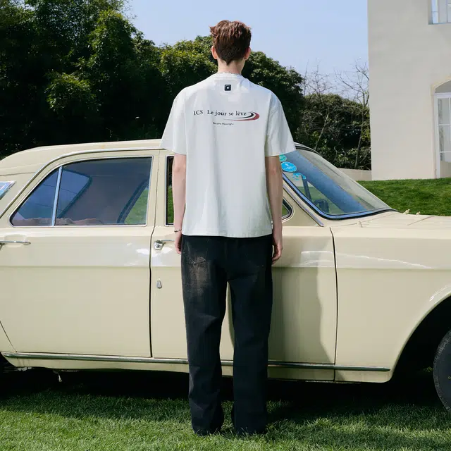 ICONS Lab T