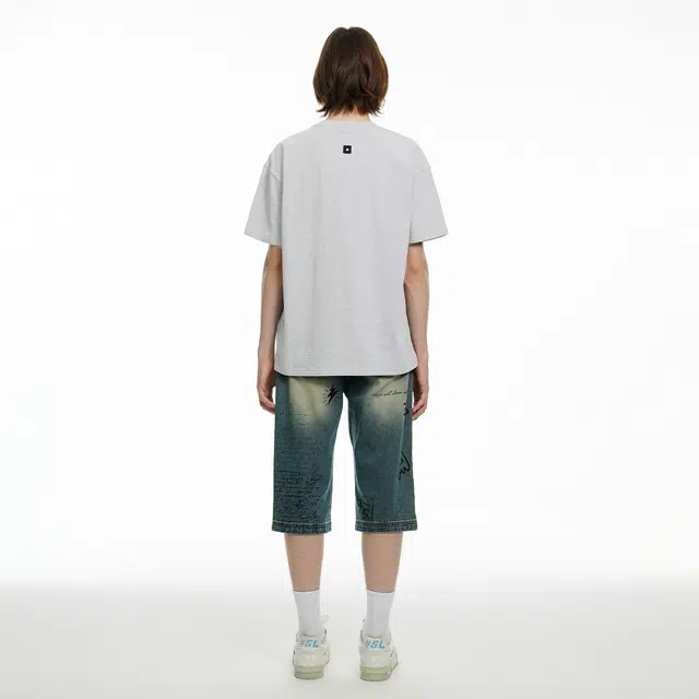 ICONS Lab T