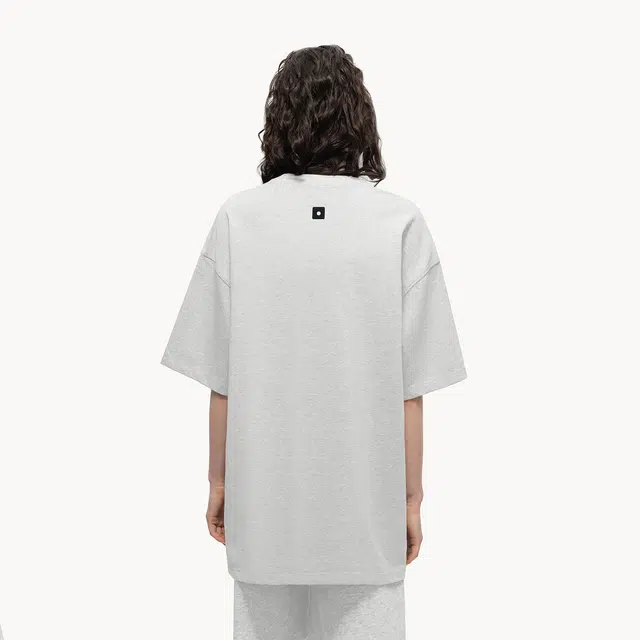ICONS Lab T