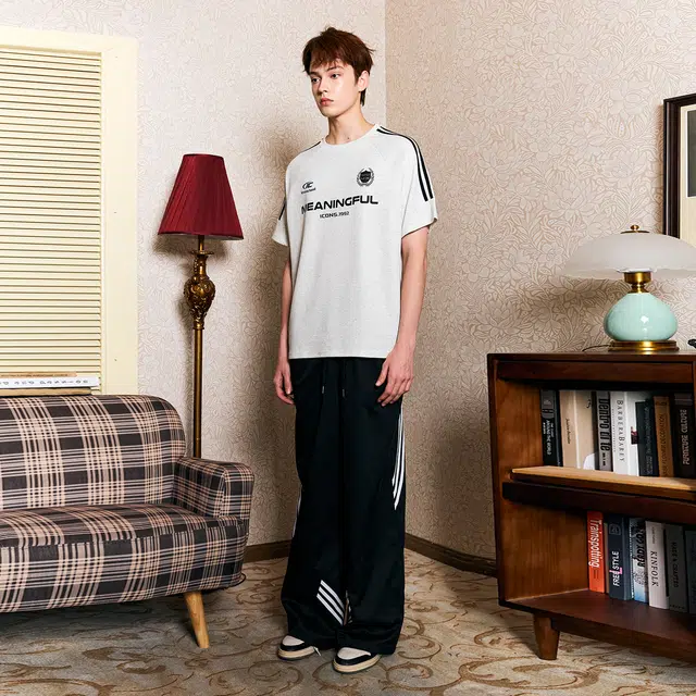 ICONS Lab T