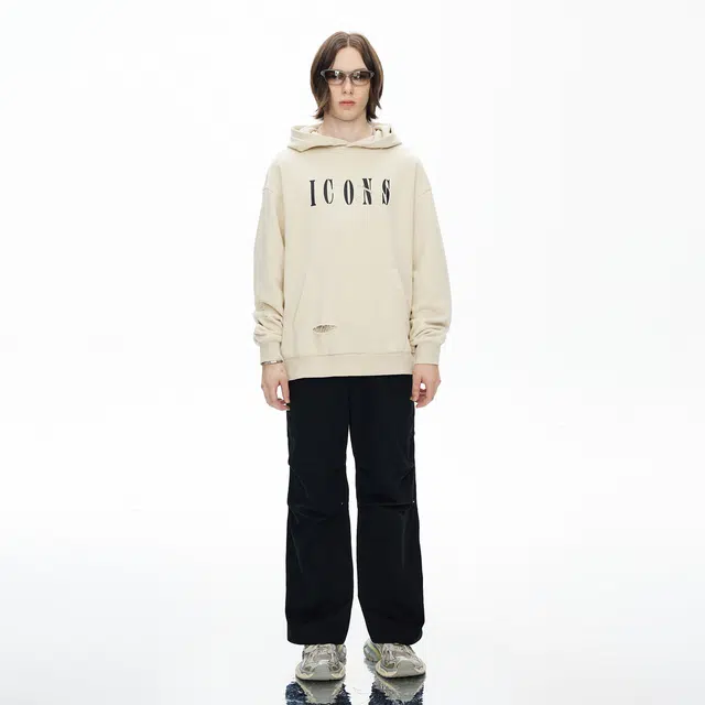 ICONS Lab