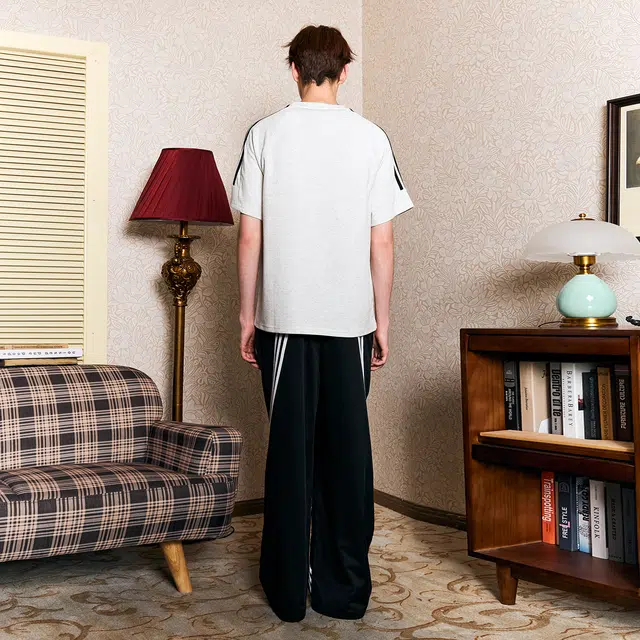 ICONS Lab T