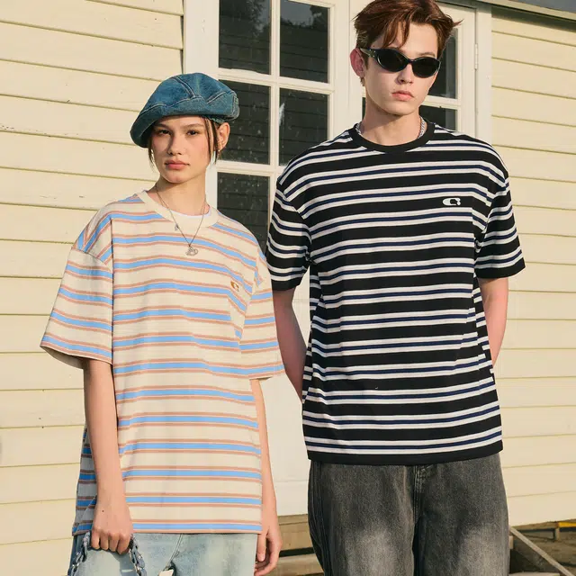 ICONS Lab T