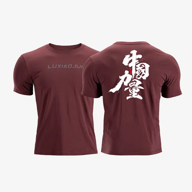 LUXIAOJUN T