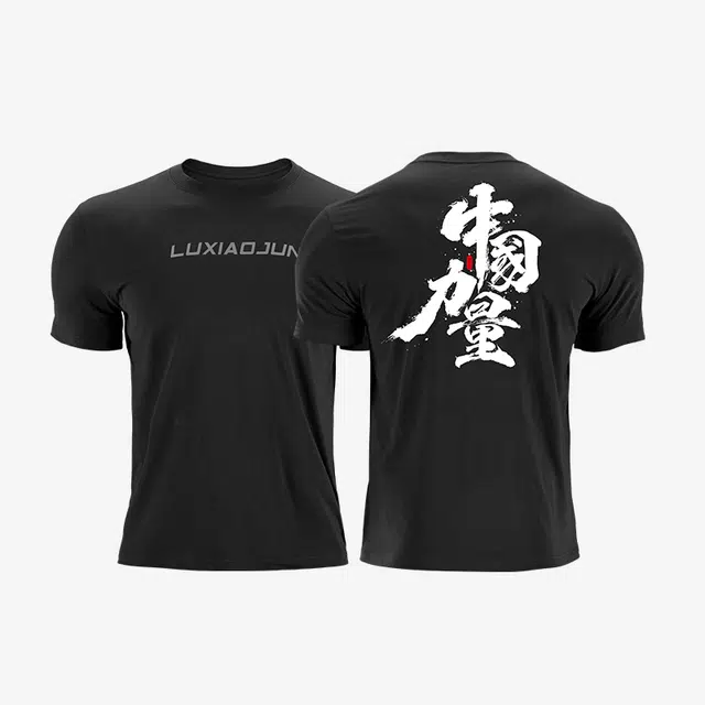 LUXIAOJUN T