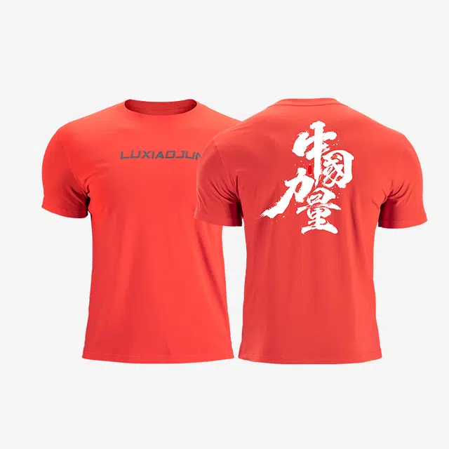 LUXIAOJUN T