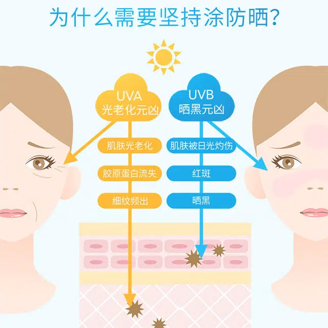 SPF50+