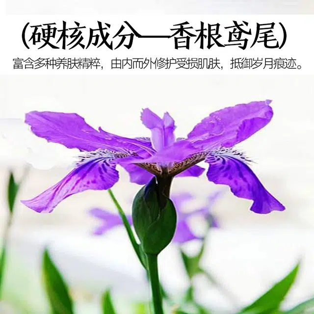 悠莱 奢宠精华水抗皱套装 紧致保湿