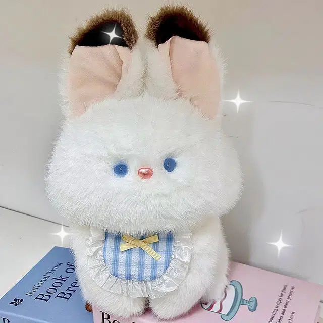 25cm