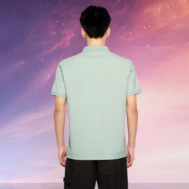 HLA POLO