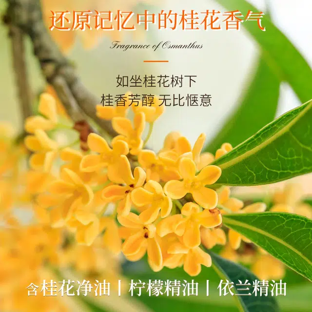 EDP 35ml