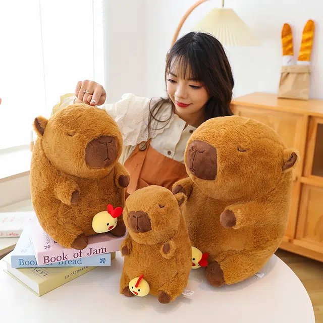 TL 25cm35cm45cm