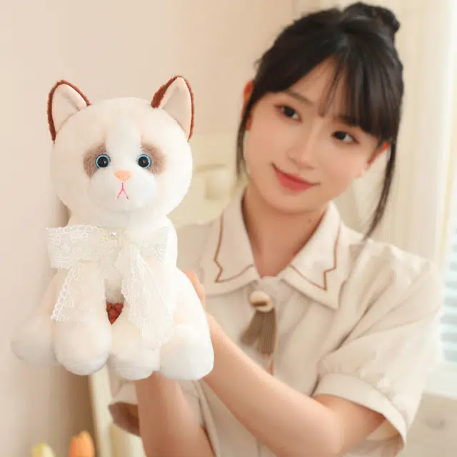TL 25cm33cm