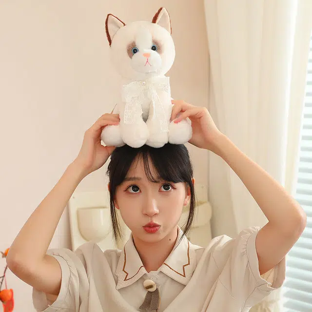 TL 25cm33cm