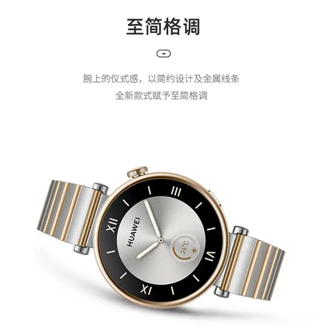 GT4 41MM 18MM Watch gt4