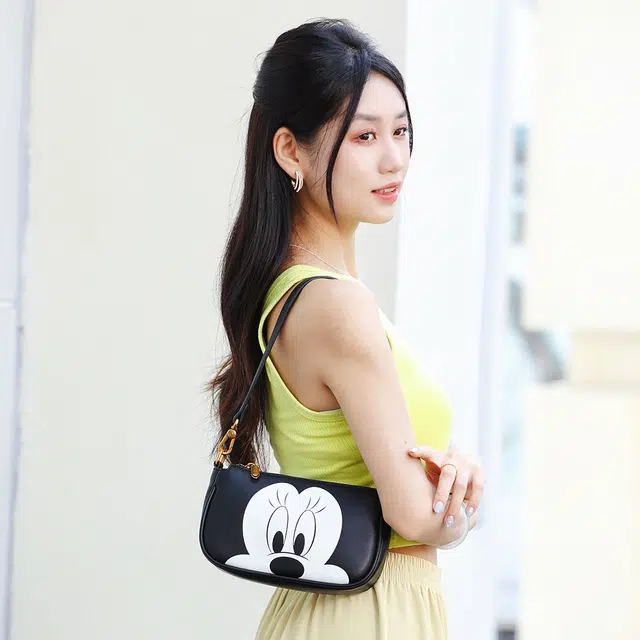 Disney PVC