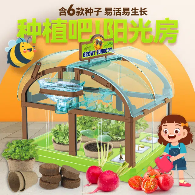 小牧马 阳光房种植 儿童科学实验套装 植物生长观察 玩具