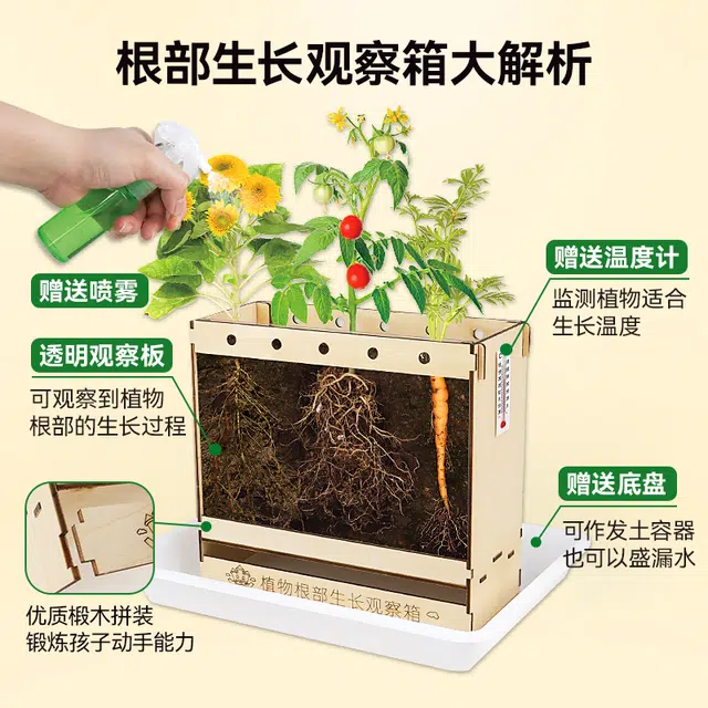 小牧马 阳光房种植 儿童科学实验套装 植物生长观察 玩具