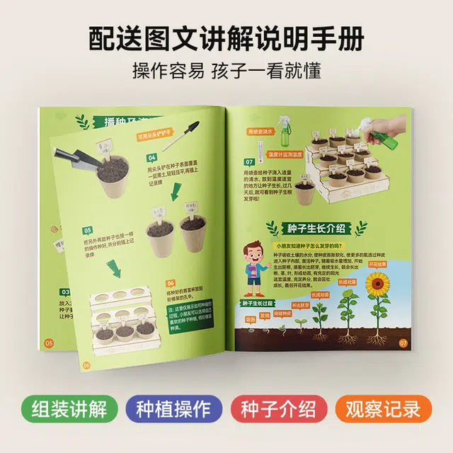 小牧马 阳光房种植 儿童科学实验套装 植物生长观察 玩具