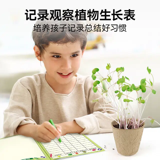 小牧马 阳光房种植 儿童科学实验套装 植物生长观察 玩具